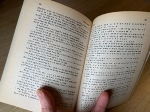 "Split consonants and vowels on pgs. 308-09 of Microserfs, by Douglas Coupland"