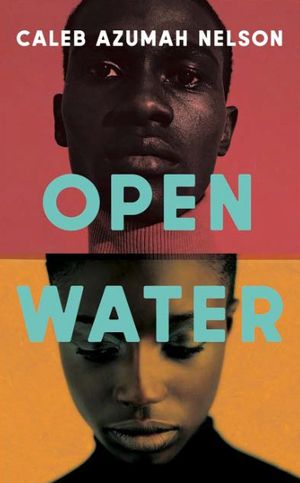 "Open Water book cover"